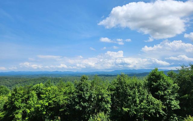 Lot 40 Lookout Drive, Blue Ridge, GA 30513