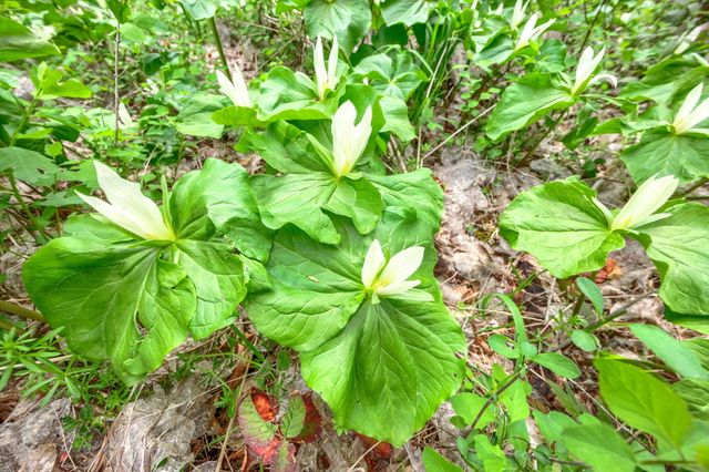 13645 E Evans Creek Road, Rogue River, OR 97537