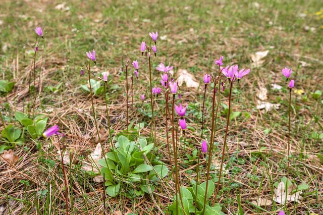 13645 E Evans Creek Road, Rogue River, OR 97537