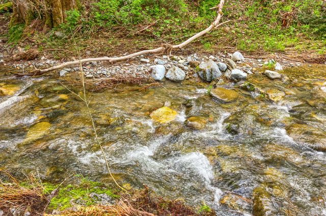 13645 E Evans Creek Road, Rogue River, OR 97537