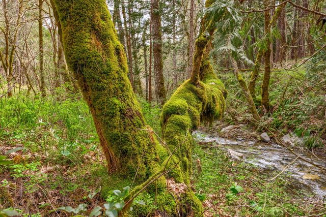 13645 E Evans Creek Road, Rogue River, OR 97537