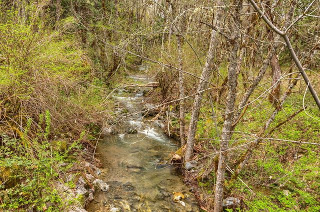 13645 E Evans Creek Road, Rogue River, OR 97537