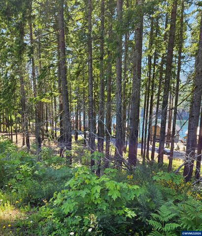 80 Lake Av E, Detroit, OR 97342