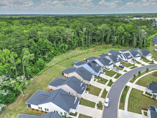 1022 Grace Field Avenue, Summerville, SC 29485