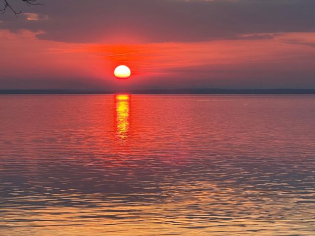 318 Little Dove, Livingston, TX 77351