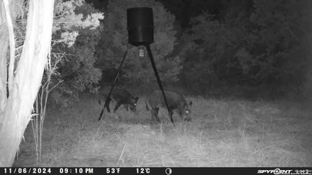 890 County Road 246, Hondo, TX 78861