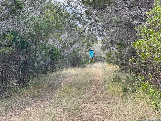 890 County Road 246, Hondo, TX 78861