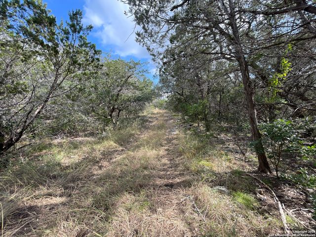 890 County Road 246, Hondo, TX 78861