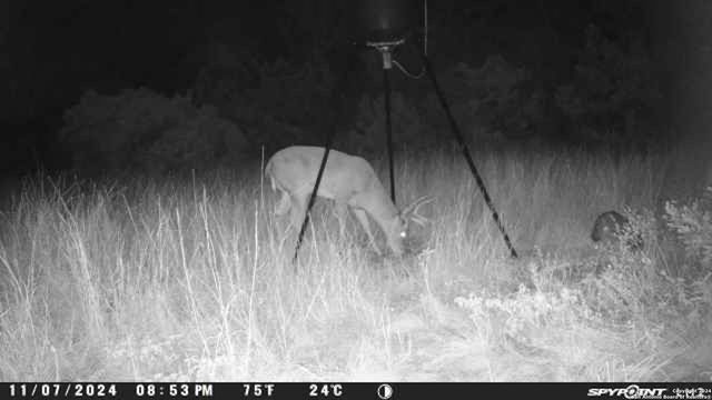 890 County Road 246, Hondo, TX 78861