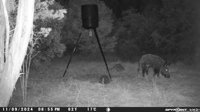 890 County Road 246, Hondo, TX 78861