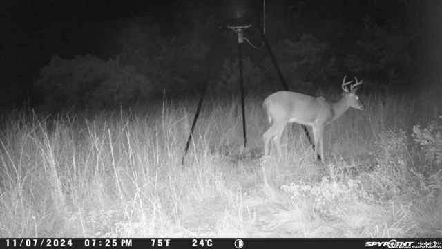 890 County Road 246, Hondo, TX 78861