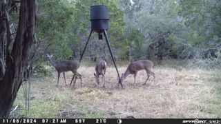 890 County Road 246, Hondo, TX 78861