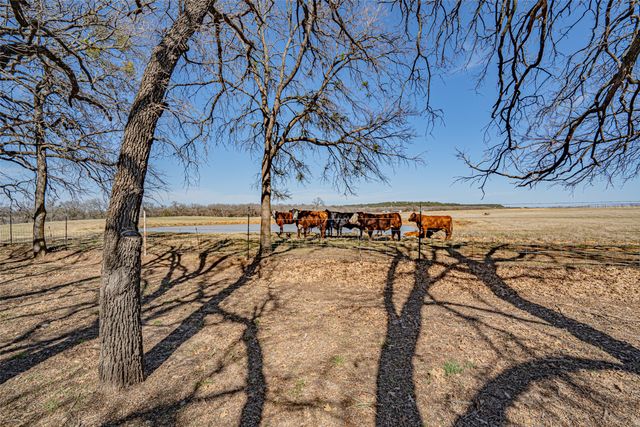 3250 Neri Road, Granbury, TX 76048