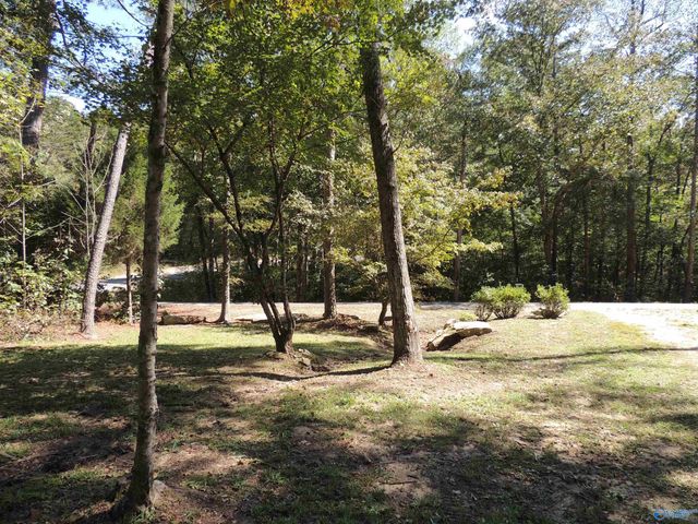 6115 County Road 275, Fort Payne, AL 35967