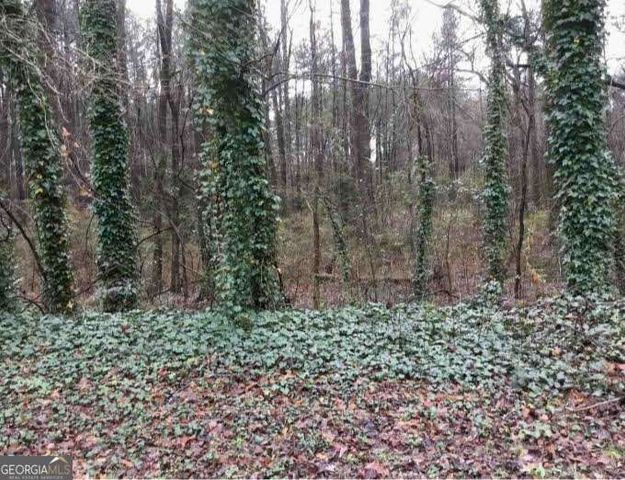 2115 LOGAN Drive, Jonesboro, GA 30236