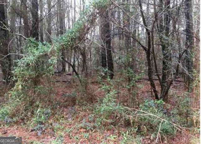 2115 LOGAN Drive, Jonesboro, GA 30236