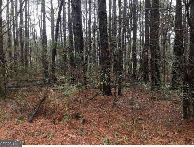 2115 LOGAN Drive, Jonesboro, GA 30236