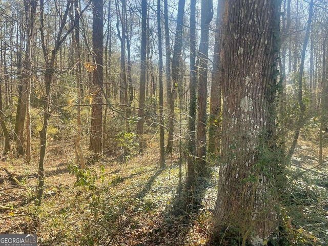 2115 LOGAN Drive, Jonesboro, GA 30236