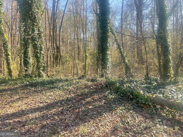 2115 LOGAN Drive, Jonesboro, GA 30236