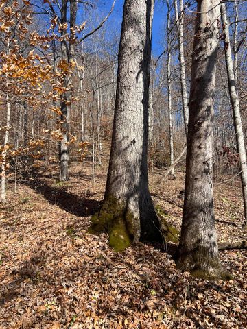 2860 Johnson Fork, Salyersville, KY 41465