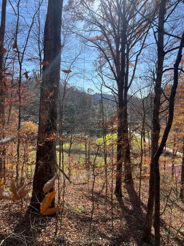 2860 Johnson Fork, Salyersville, KY 41465