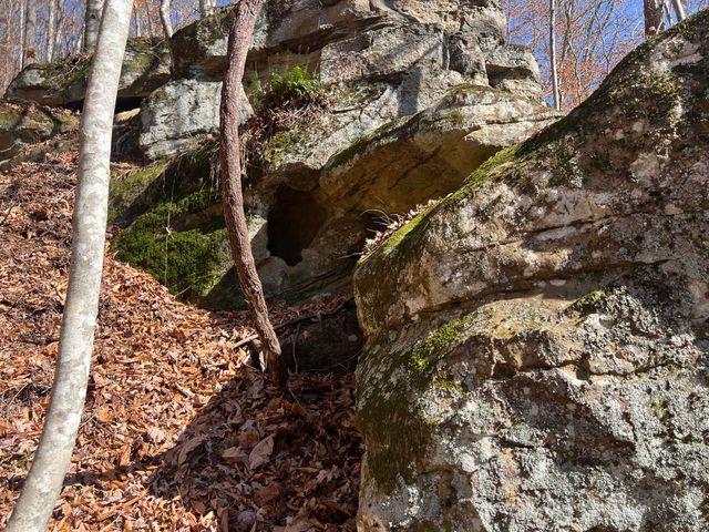 2860 Johnson Fork, Salyersville, KY 41465