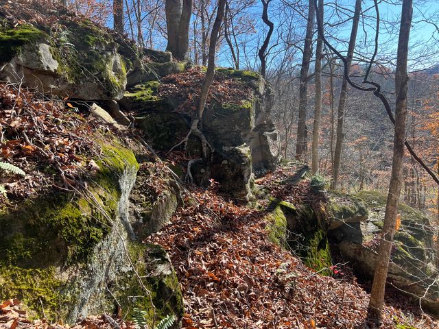 2860 Johnson Fork, Salyersville, KY 41465