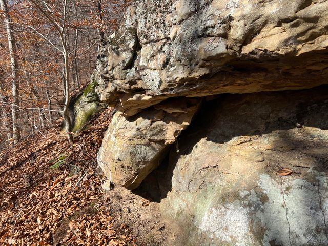 2860 Johnson Fork, Salyersville, KY 41465