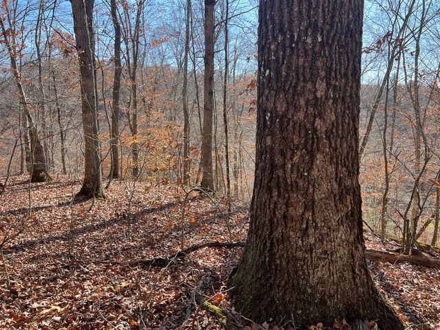 2860 Johnson Fork, Salyersville, KY 41465