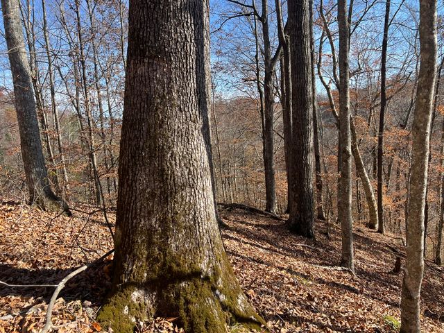 2860 Johnson Fork, Salyersville, KY 41465