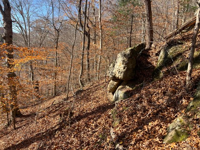 2860 Johnson Fork, Salyersville, KY 41465