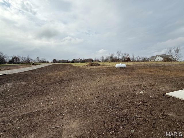 11290 Green Acres Trail, Hannibal, MO 63401