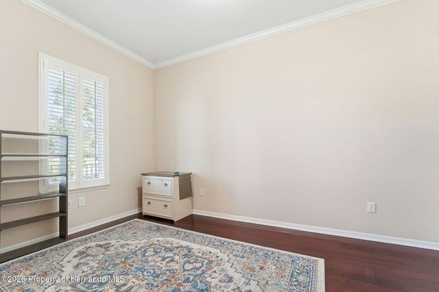 19546 Mossy Oak Court, Brooksville, FL 34601