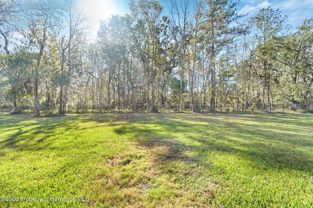 19546 Mossy Oak Court, Brooksville, FL 34601