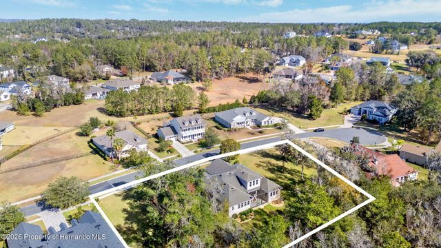 19546 Mossy Oak Court, Brooksville, FL 34601