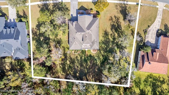 19546 Mossy Oak Court, Brooksville, FL 34601