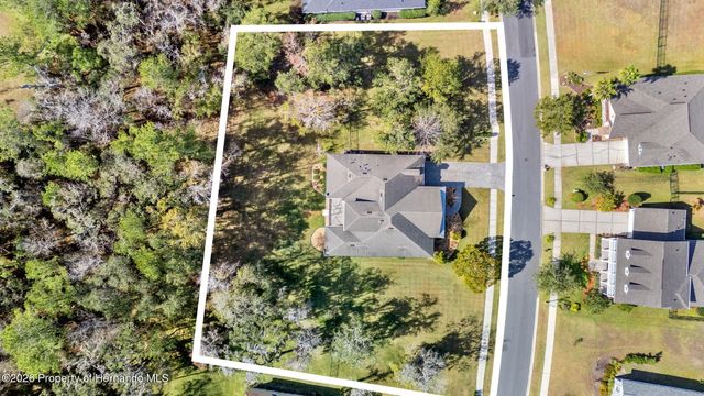 19546 Mossy Oak Court, Brooksville, FL 34601
