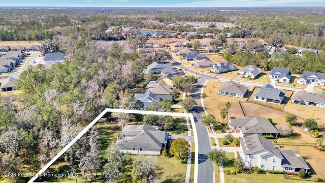 19546 Mossy Oak Court, Brooksville, FL 34601
