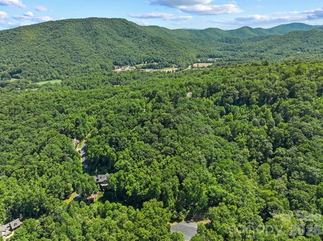 472 Mills River Way, Horse Shoe, NC 28742