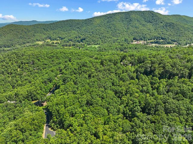 472 Mills River Way, Horse Shoe, NC 28742