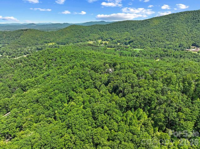 472 Mills River Way, Horse Shoe, NC 28742