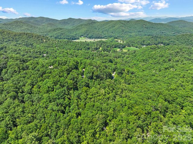 472 Mills River Way, Horse Shoe, NC 28742