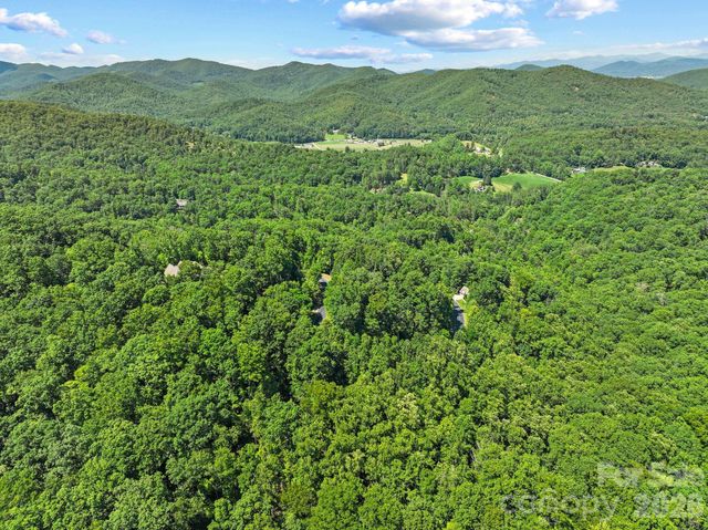 472 Mills River Way, Horse Shoe, NC 28742