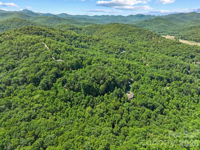 472 Mills River Way, Horse Shoe, NC 28742