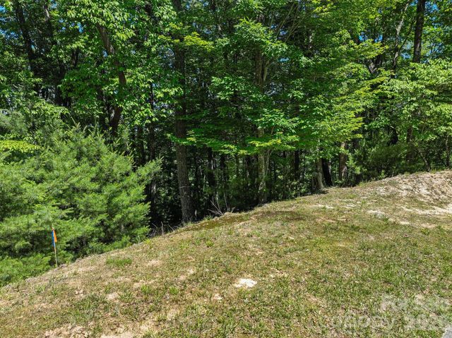 472 Mills River Way, Horse Shoe, NC 28742