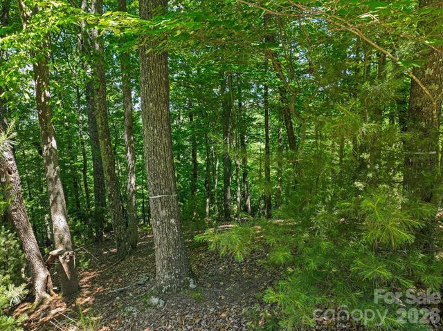 472 Mills River Way, Horse Shoe, NC 28742