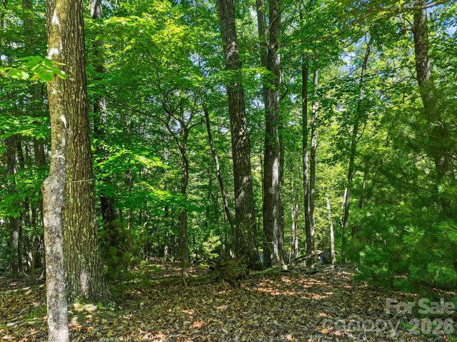 472 Mills River Way, Horse Shoe, NC 28742