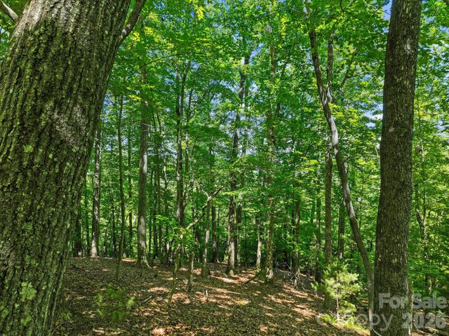 472 Mills River Way, Horse Shoe, NC 28742