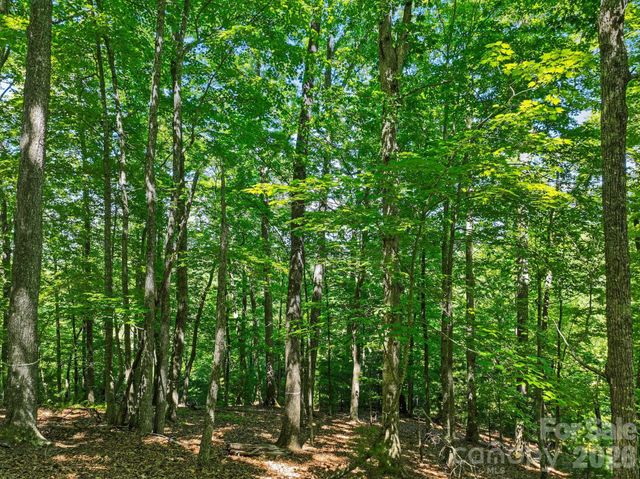472 Mills River Way, Horse Shoe, NC 28742