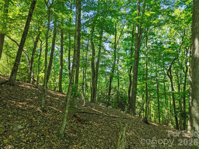 472 Mills River Way, Horse Shoe, NC 28742